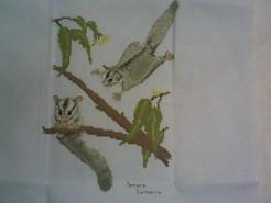 Cross stitch square for any child