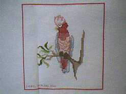 Cross stitch square for Brydi's quilt