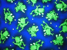 Fabric for (QUILTED) Frog E01