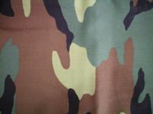 Fabric for Patrick P