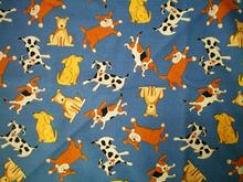 Fabric for Kiarra-Nicole S 