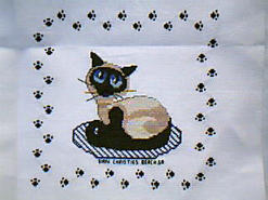 Cross stitch square for Tyrion  M's quilt