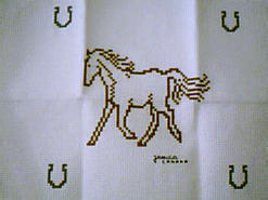 Cross stitch square for Xavier 's quilt