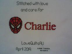 Cross stitch square for Charlie N's quilt