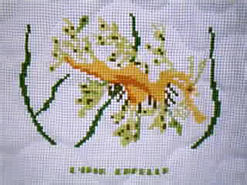 Cross stitch square for (QUILTED) Wonderful Water Creatures E02's quilt
