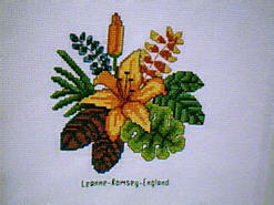 Cross stitch square for Maddison B's quilt