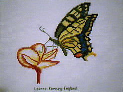 Cross stitch square for Maddison B's quilt
