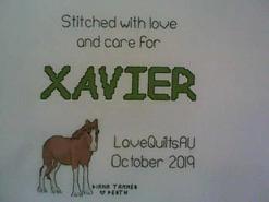 Cross stitch square for Xavier 's quilt