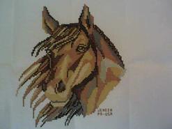 Cross stitch square for Xavier 's quilt