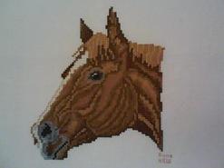 Cross stitch square for Xavier 's quilt
