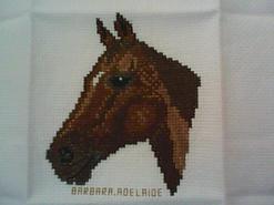 Cross stitch square for Xavier 's quilt