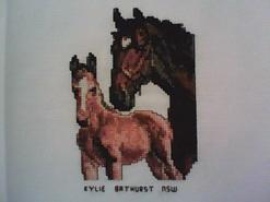Cross stitch square for Xavier 's quilt