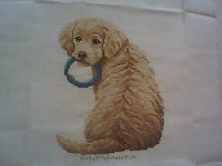 Cross stitch square for Ben  T's quilt