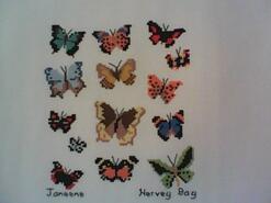Cross stitch square for Bronte H's quilt