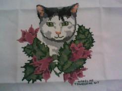 Cross stitch square for Kaylee-Jayde's quilt