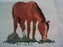 Cross stitch square for Sally Q's quilt