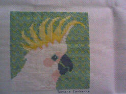 Cross stitch square for Realistic Animal/Wildlife Stitch-a-long's quilt