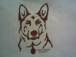 Cross stitch square for Jasper S's quilt