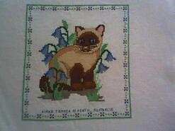 Cross stitch square for Jasper S's quilt