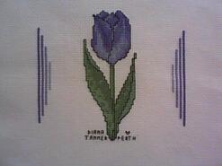 Cross stitch square for Breearnah's quilt