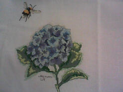 Cross stitch square for Billy's quilt
